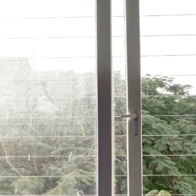 invisible grill.webp